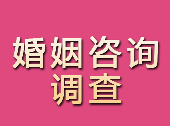 武川婚姻咨询调查